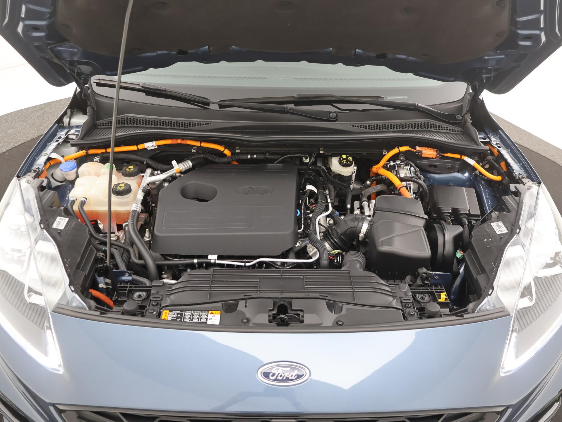 44971717-34.jpg
