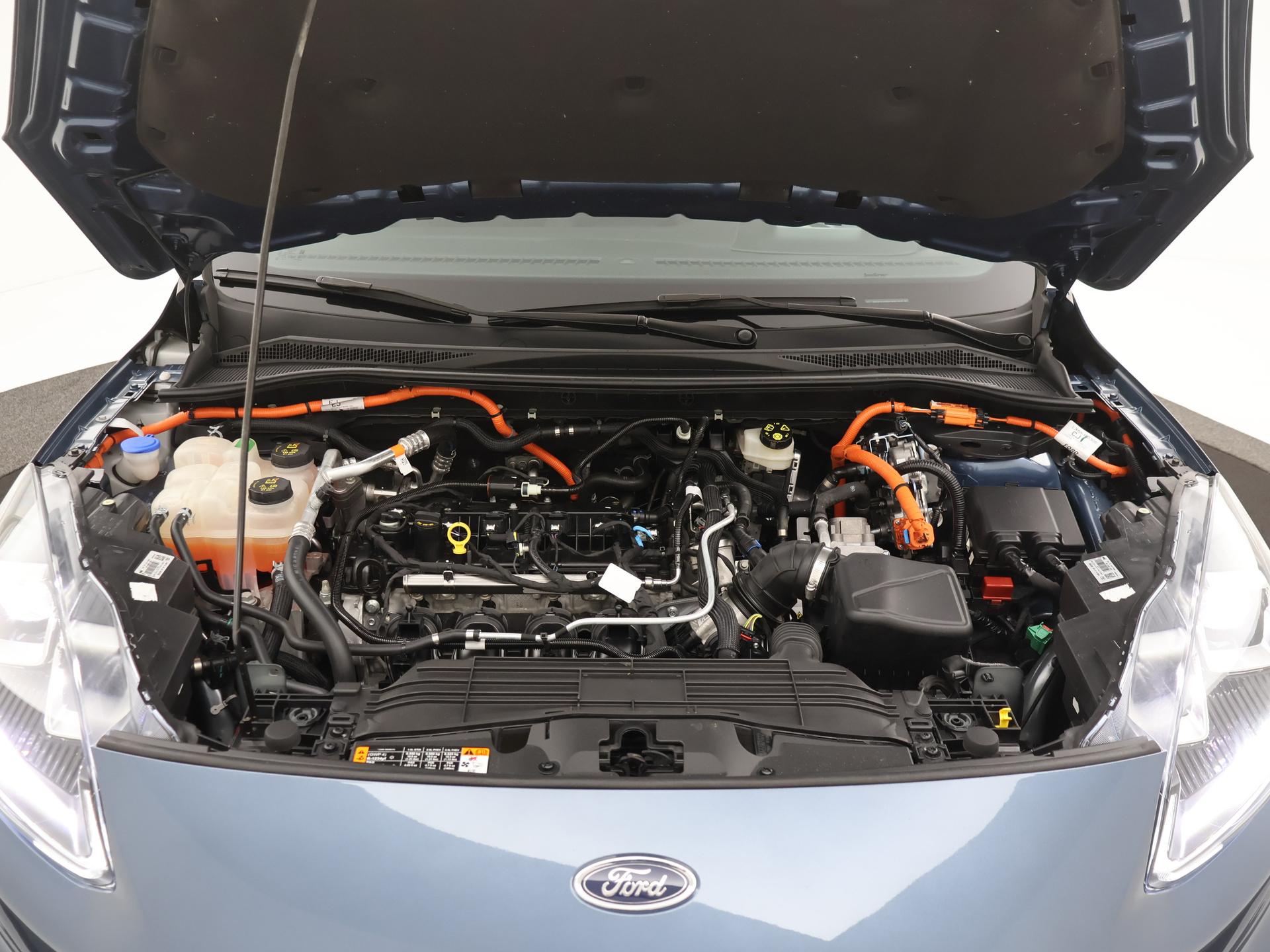 46855445-41.jpg