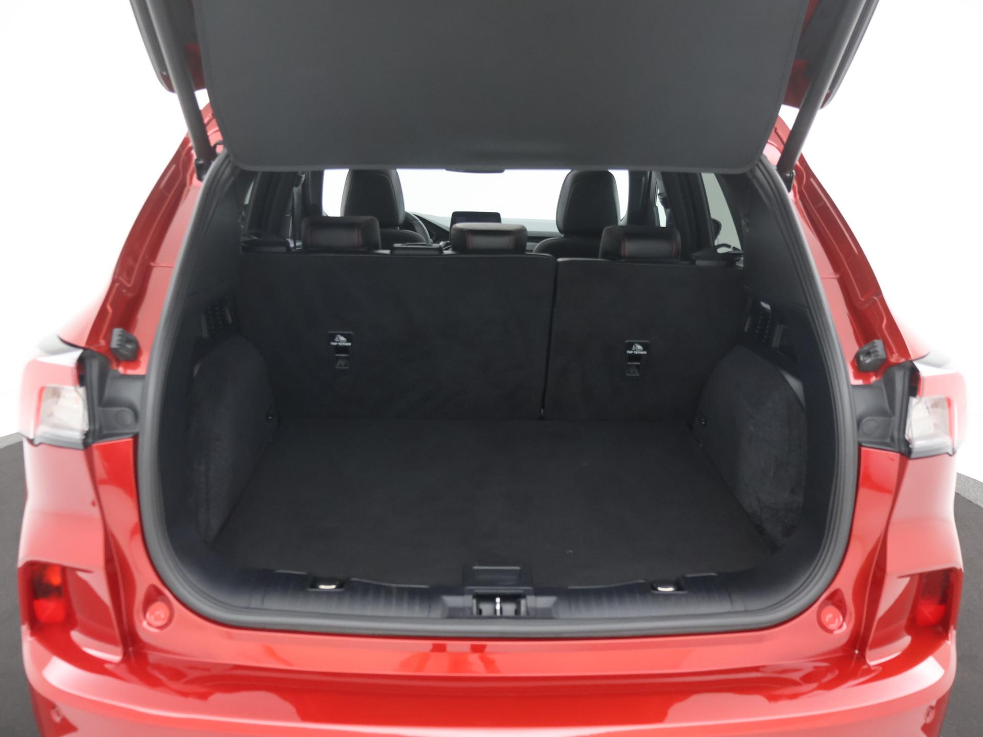 47815042-17.jpg