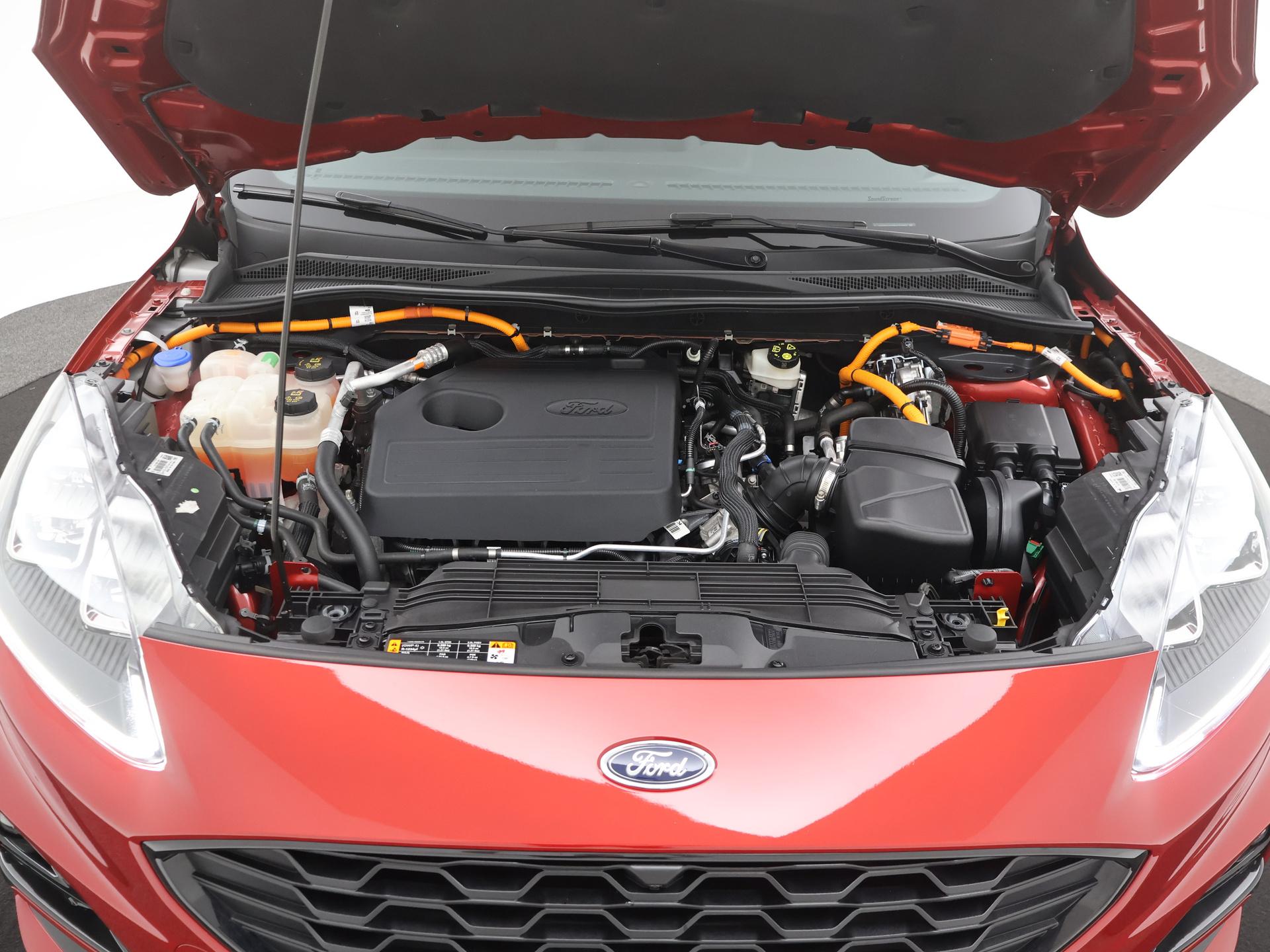 47815042-21.jpg