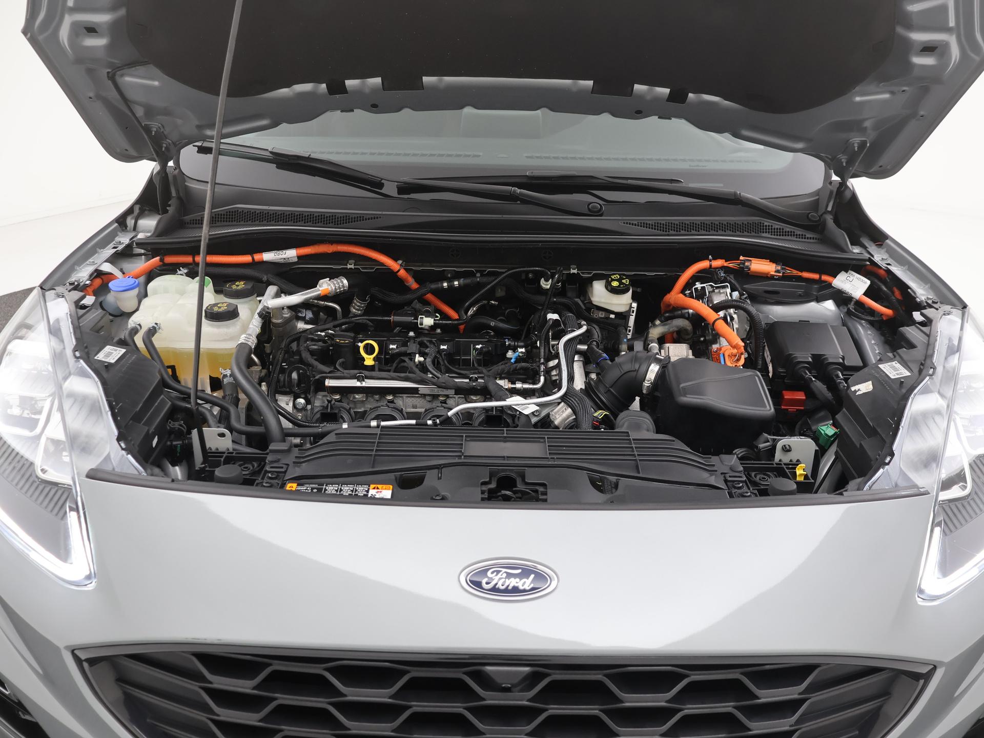 48518220-38.jpg